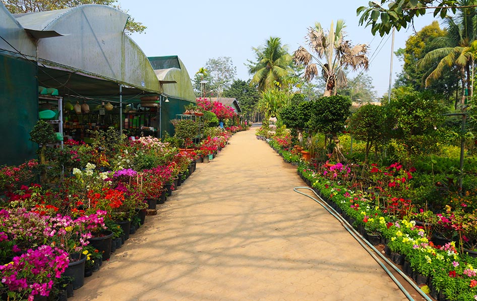https://daffodilagricol.com/wp-content/uploads/2025/04/Campus-Tour_Daffodil-Group-of-Institutions.jpg