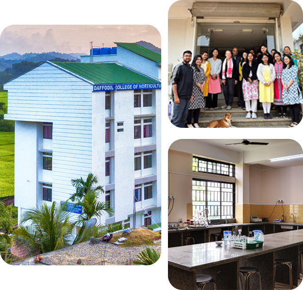 https://daffodilagricol.com/wp-content/uploads/2025/04/about_Us-Daffodil-College-of-Horticulture_1.png